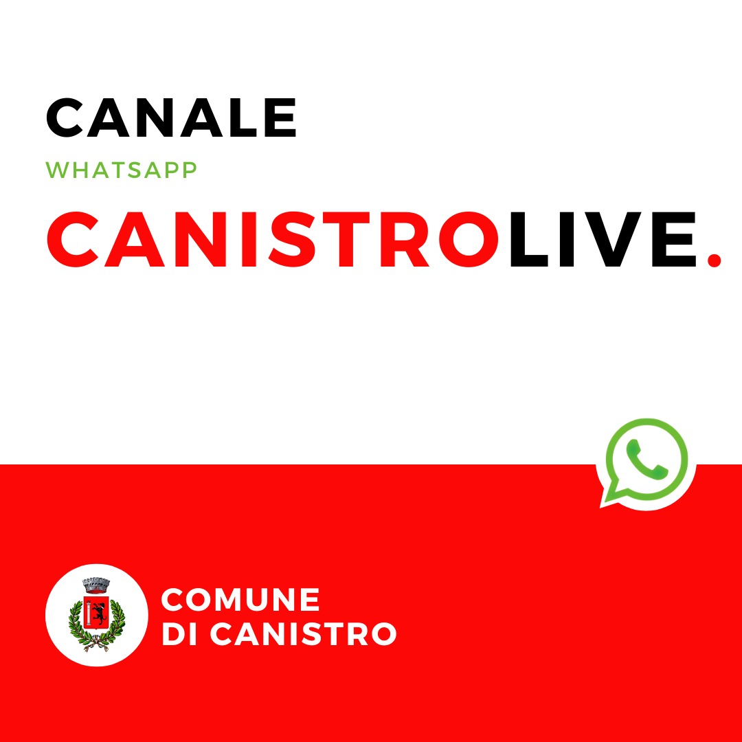 Gruppo Whatsapp Canistro Live